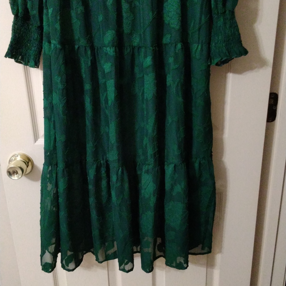 Emerald Green Long Sleeve Tiered Maxi Dress - Picture 6 of 7